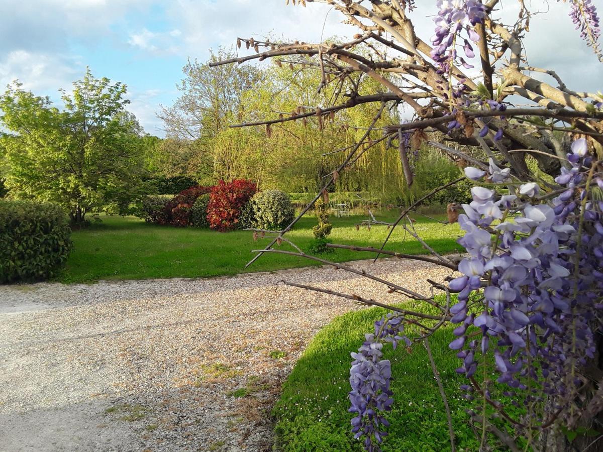 La Belviniere Chambres Et Table D'Hotes Tour-en-Sologne Exterior photo