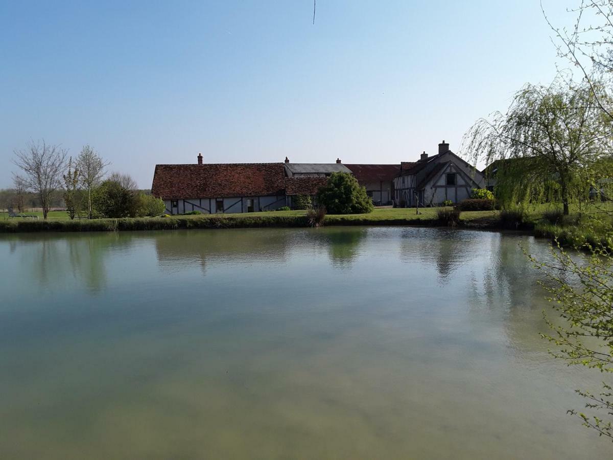 La Belviniere Chambres Et Table D'Hotes Tour-en-Sologne Exterior photo